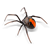 spiders.png